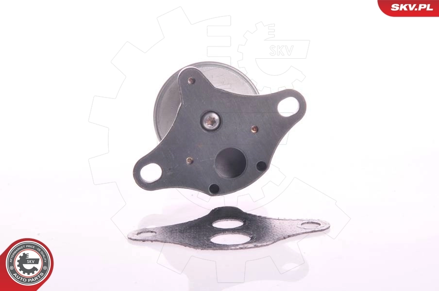 EGR Valve 14SKV002