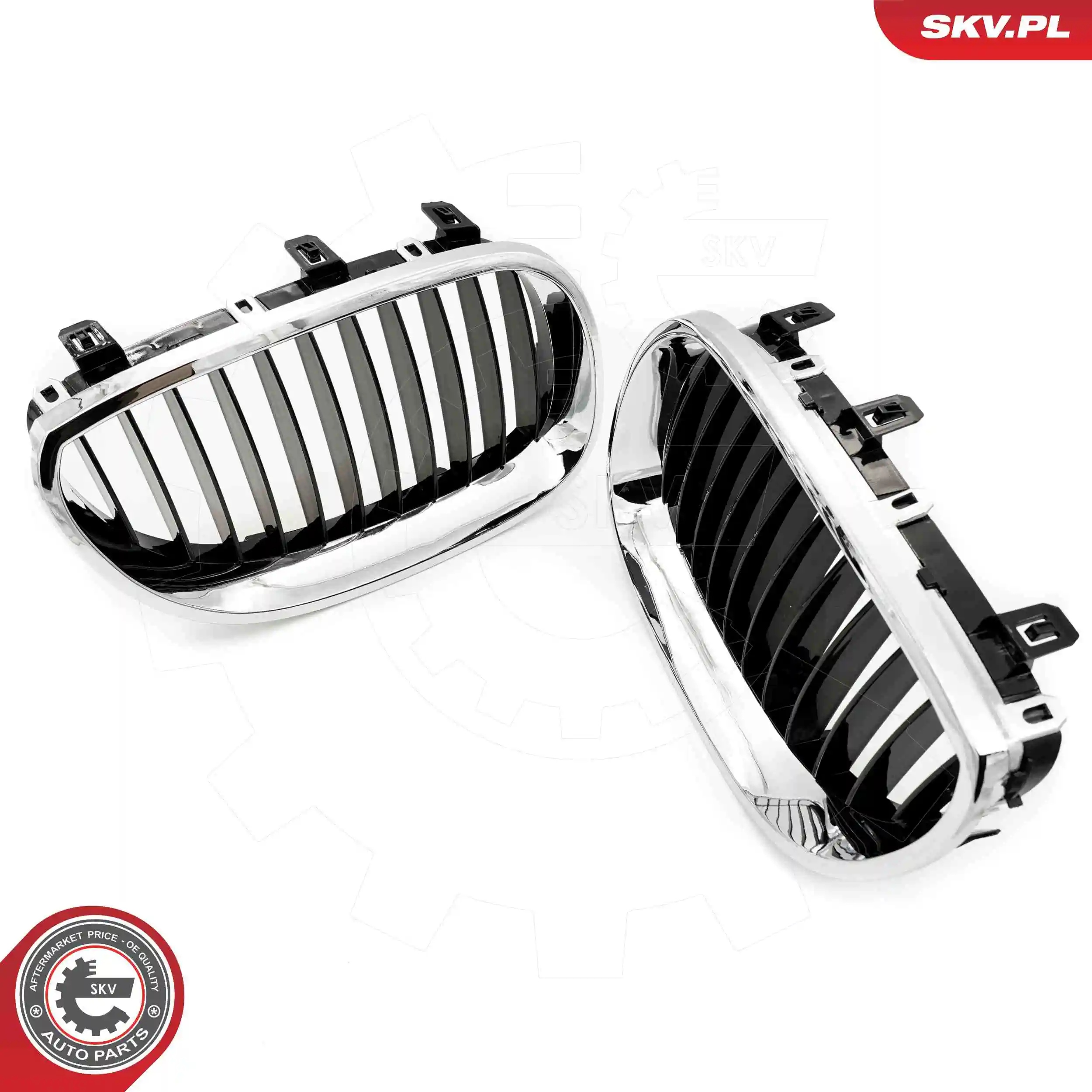 ESEN SKV 66SKV169 Radiator Grille