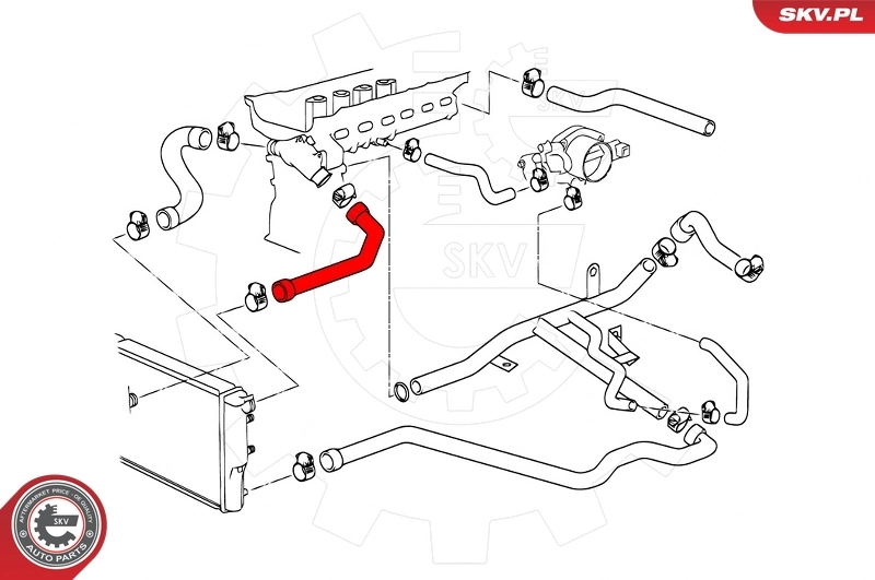 Radiator Hose 24SKV240