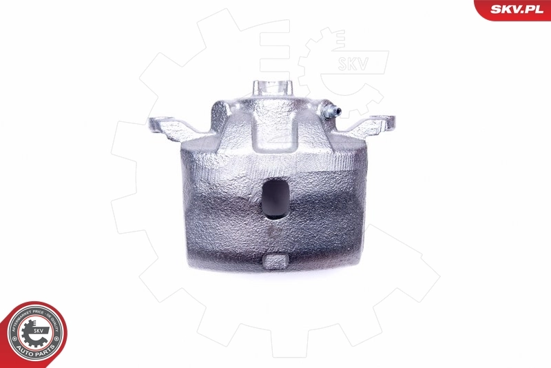 Brake Caliper 45SKV012