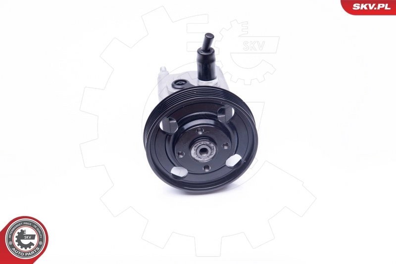 Hydraulic Pump, steering 10SKV257