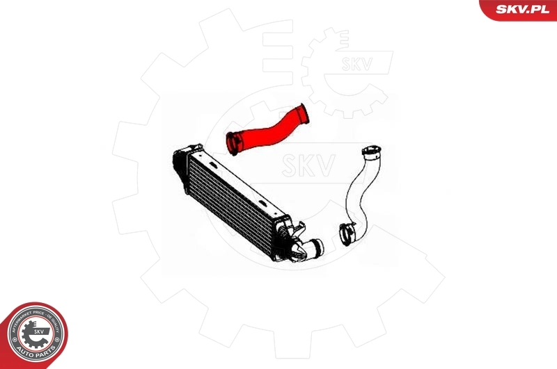 Charge Air Hose 43SKV211