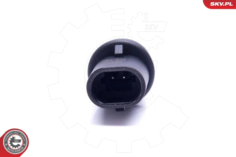 Sensor, intake air temperature 17SKV677