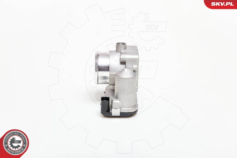 Throttle Body 12SKV039