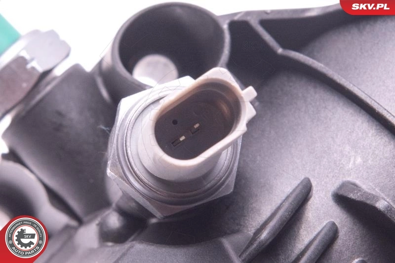 Oil Cooler, engine oil 31SKV169