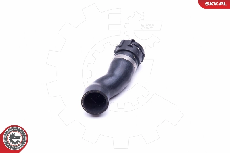 Radiator Hose 43SKV842