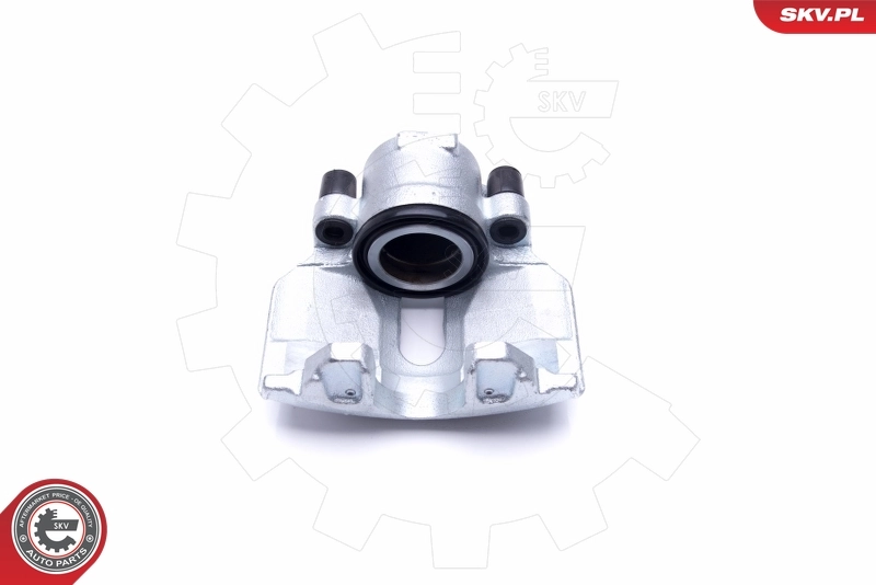 Brake Caliper 46SKV052