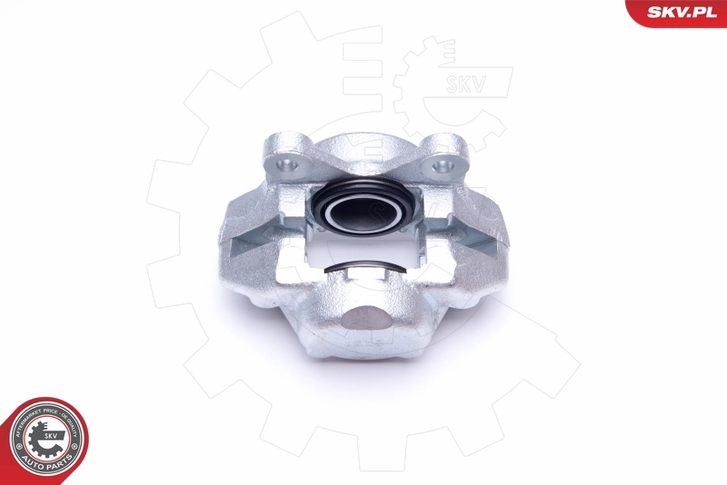 Brake Caliper 45SKV902