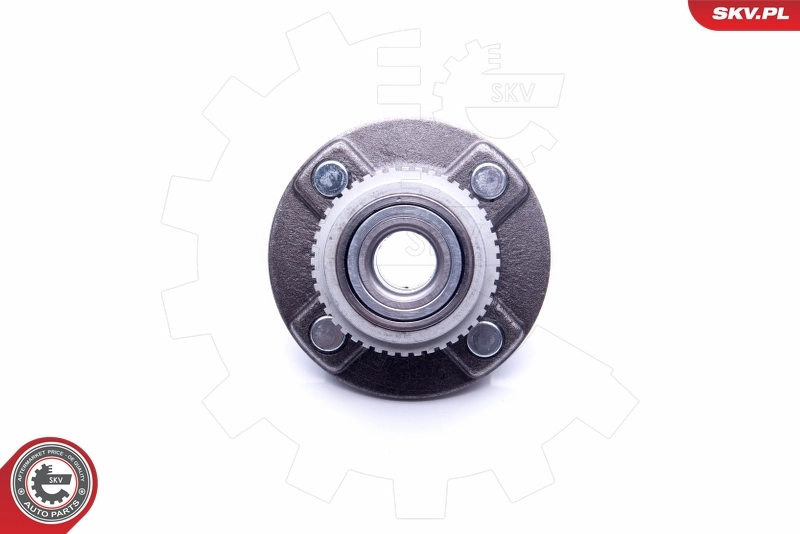 Wheel Bearing Kit 29SKV211