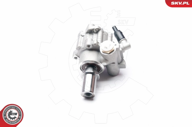 Hydraulic Pump, steering 10SKV217