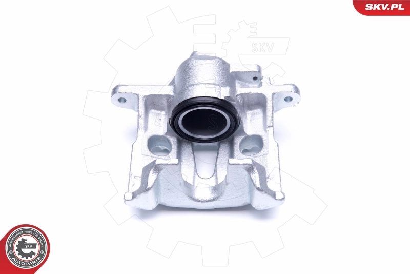 Brake Caliper 45SKV322
