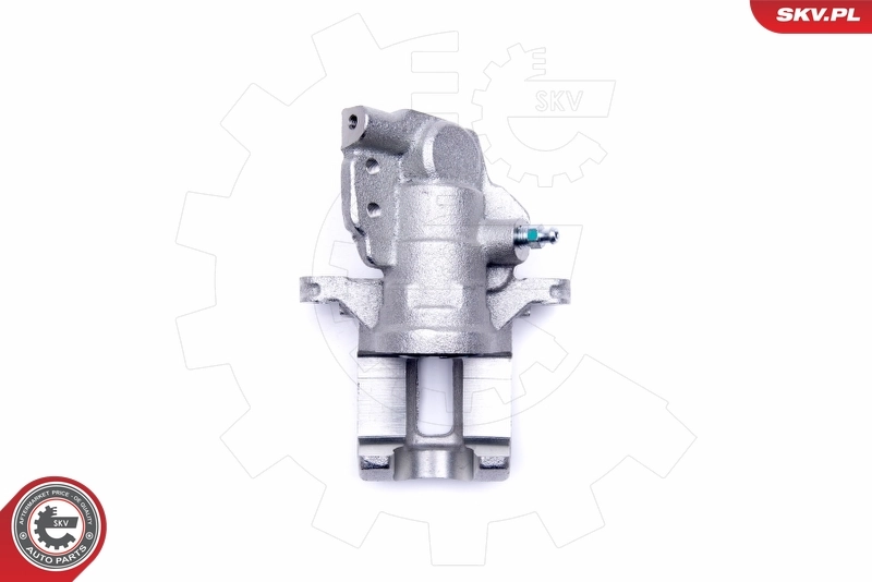 Brake Caliper 50SKV434