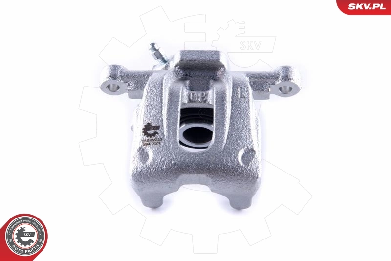 Brake Caliper 55SKV233