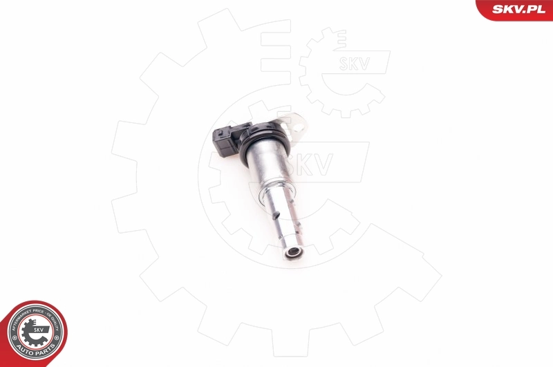 Control Valve, camshaft adjustment 39SKV012