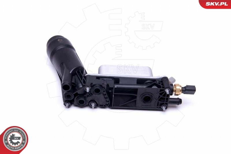 Oil Cooler, engine oil 31SKV172