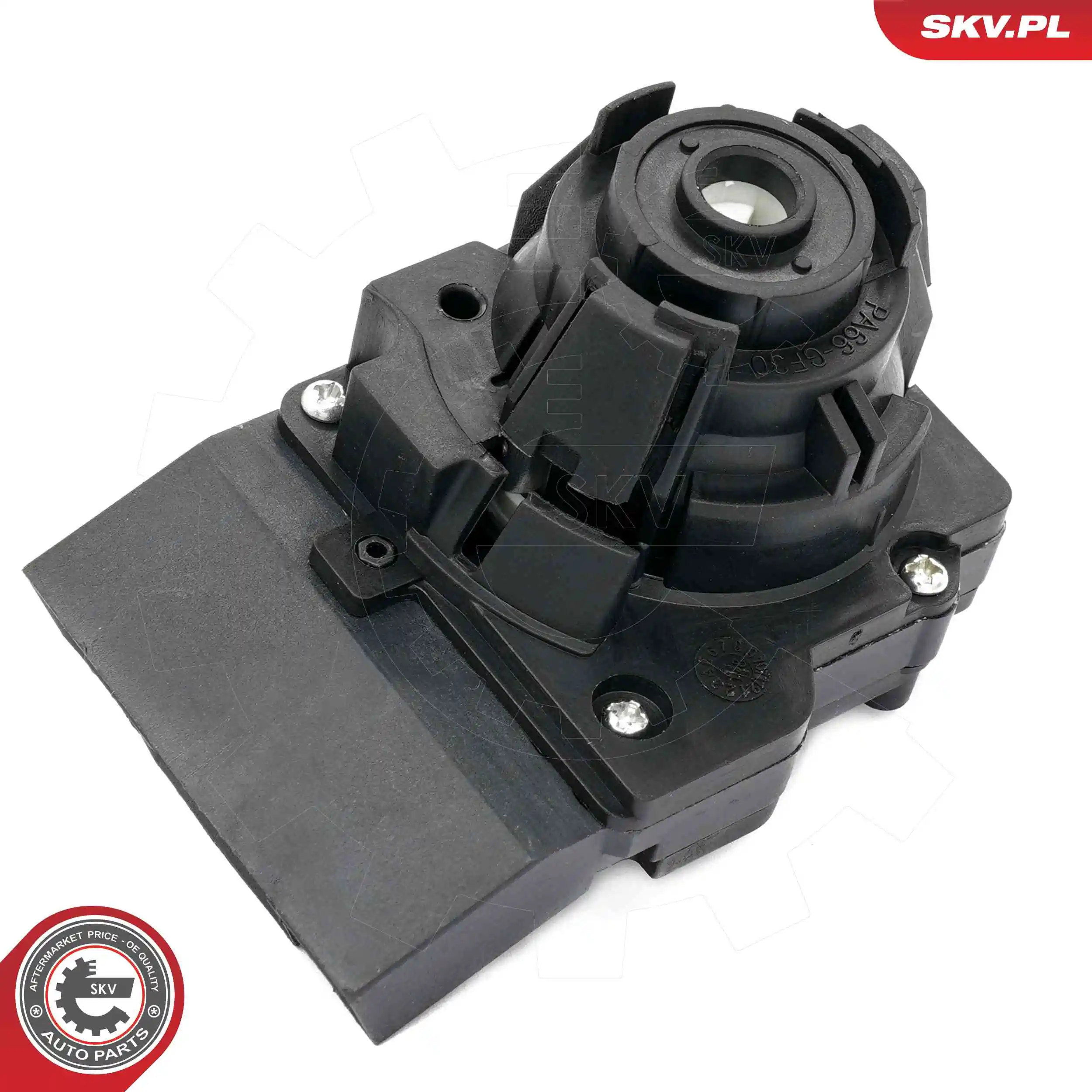 Ignition Switch 65SKV019