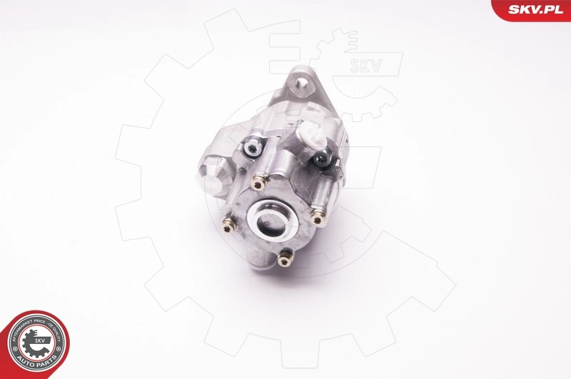Hydraulic Pump, steering 1SKV0002