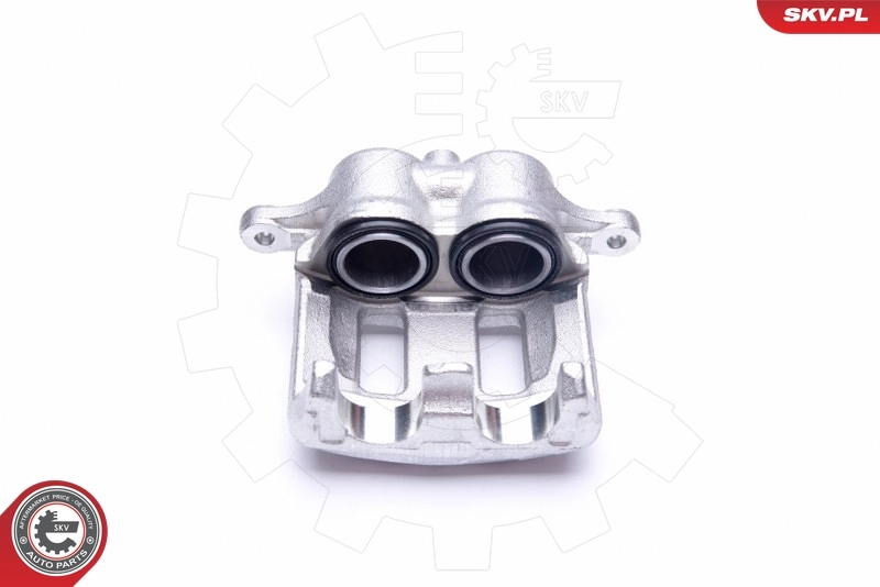 Brake Caliper 45SKV671