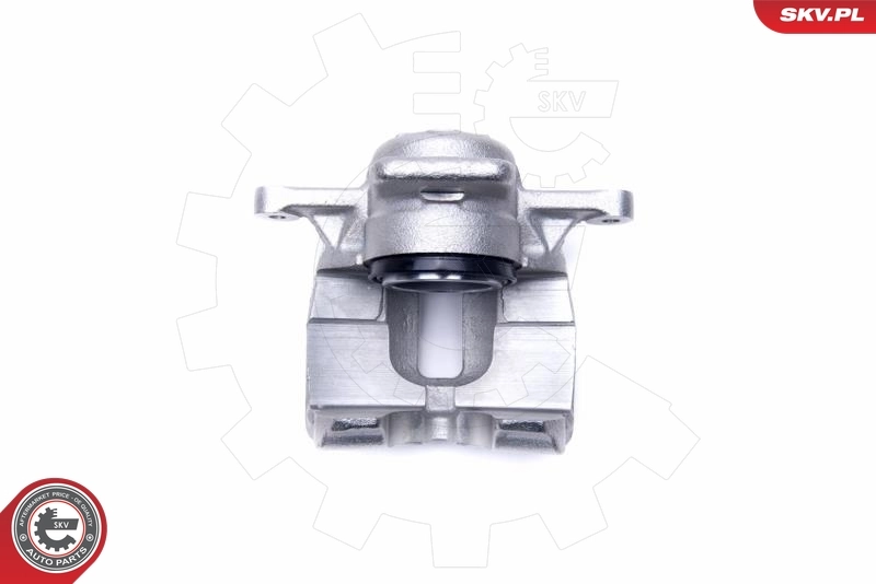 Brake Caliper 55SKV942