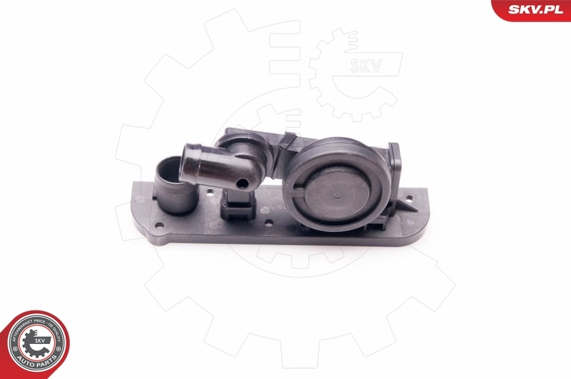 Valve, crankcase ventilation 31SKV004