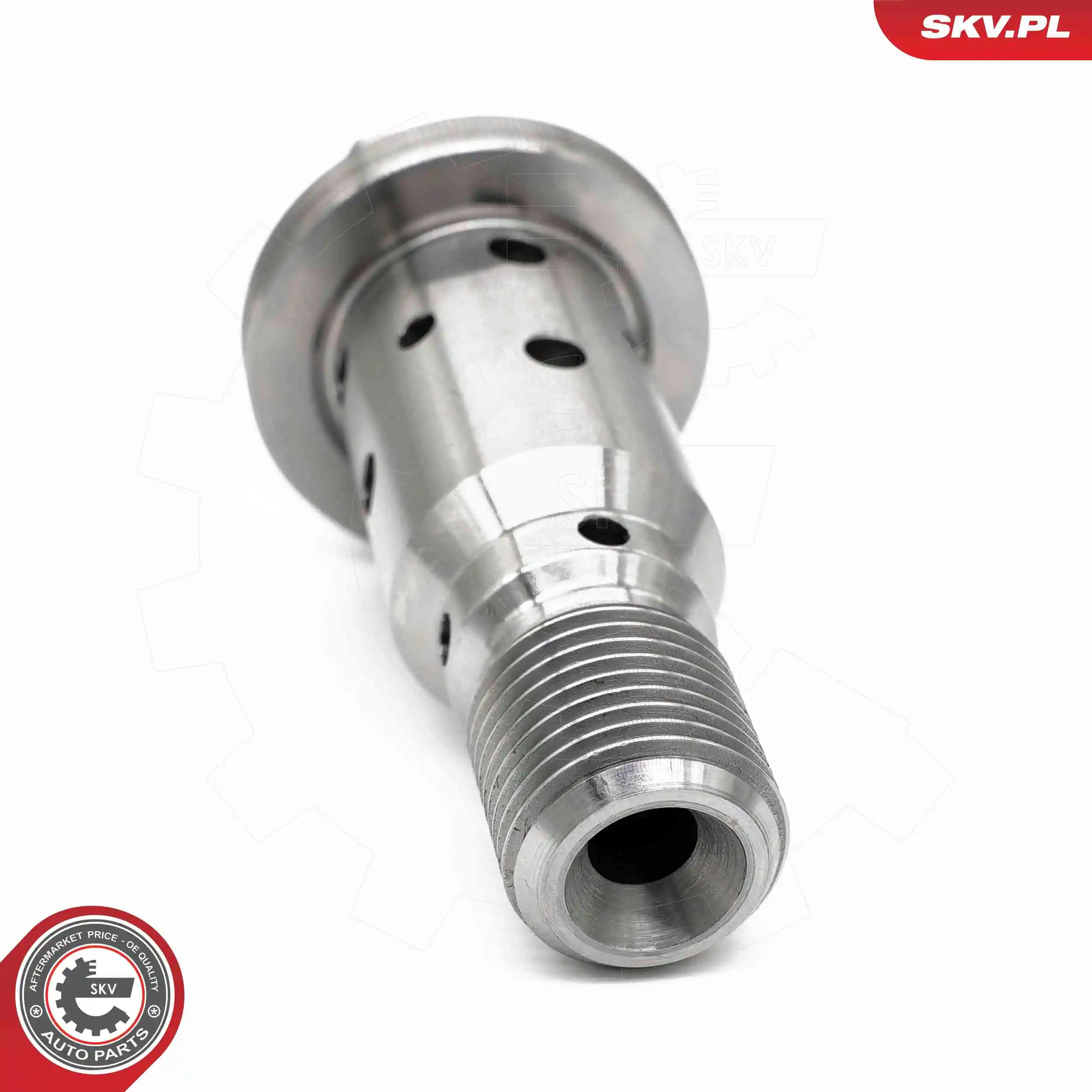 ESEN SKV 39SKV074 Control Valve, camshaft adjustment