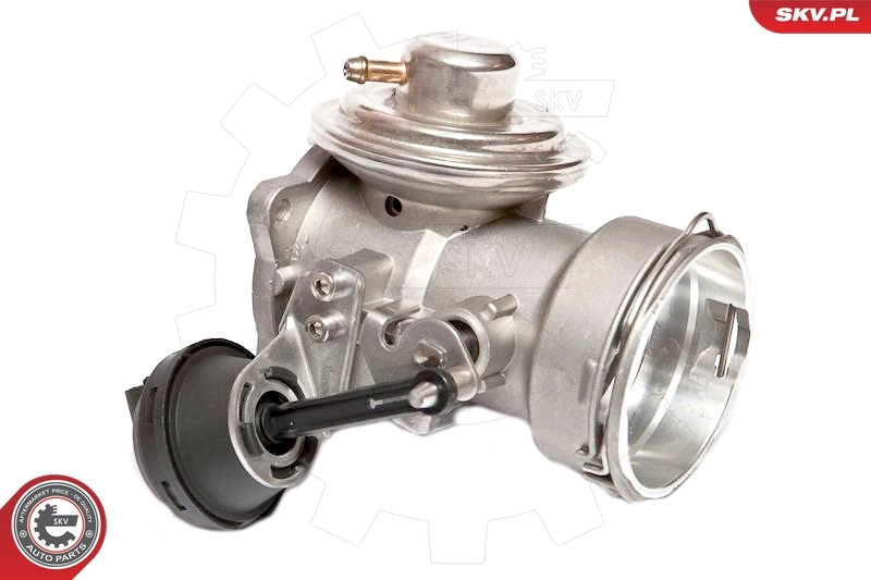 EGR Valve 14SKV024