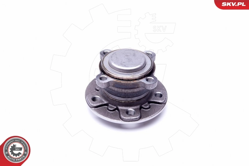 Wheel Bearing Kit 29SKV303