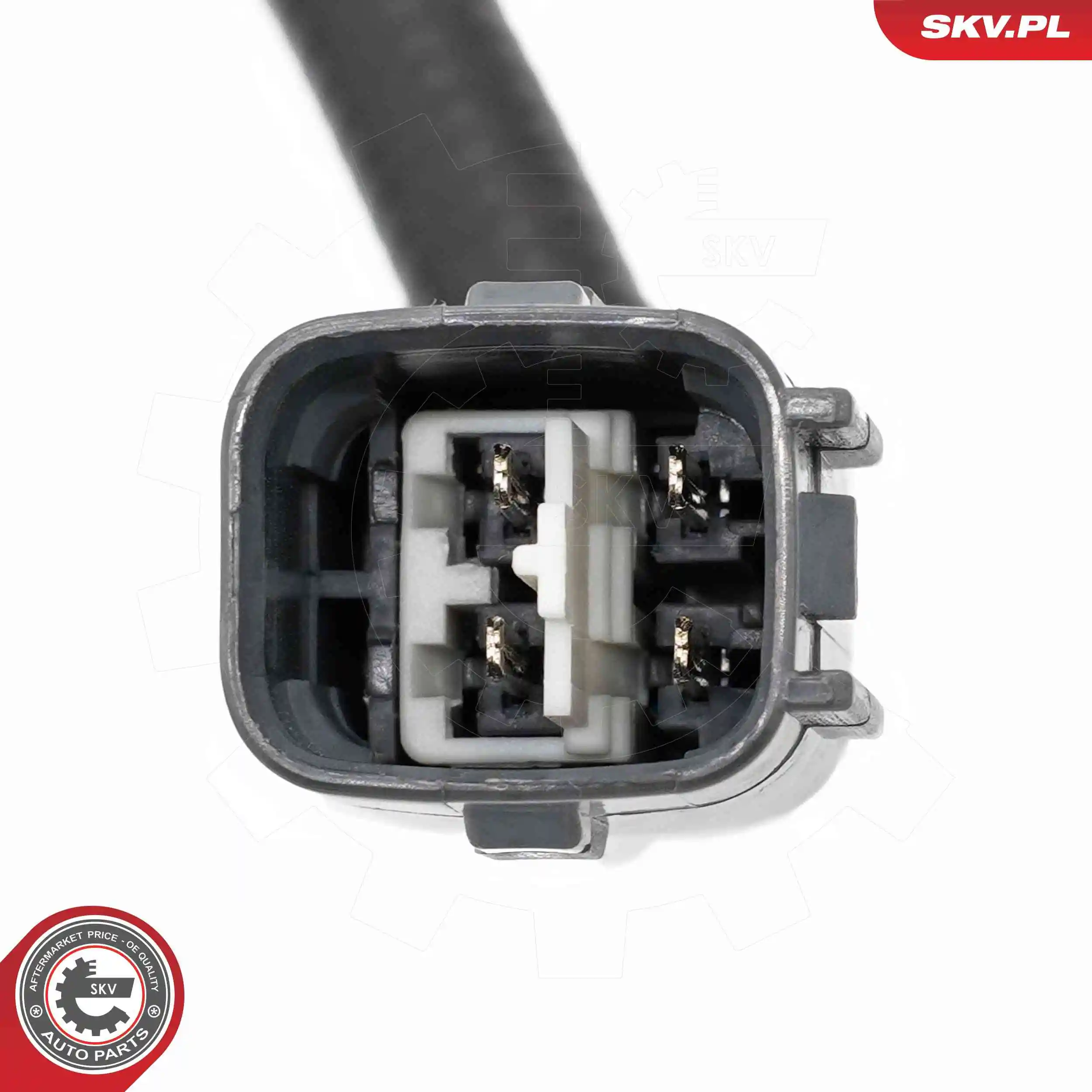 Oxygen Sensor 09SKV193