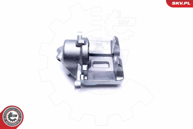 Brake Caliper 46SKV062