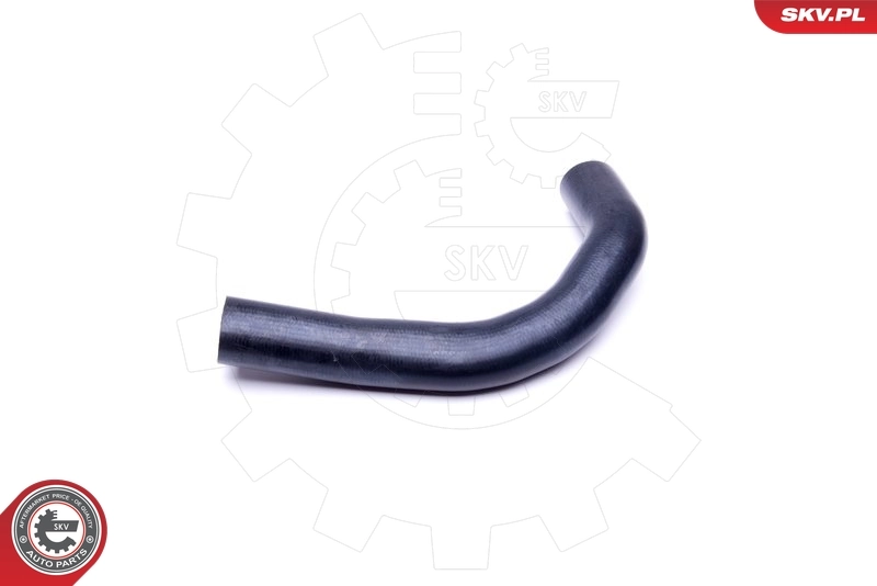 Radiator Hose 43SKV648