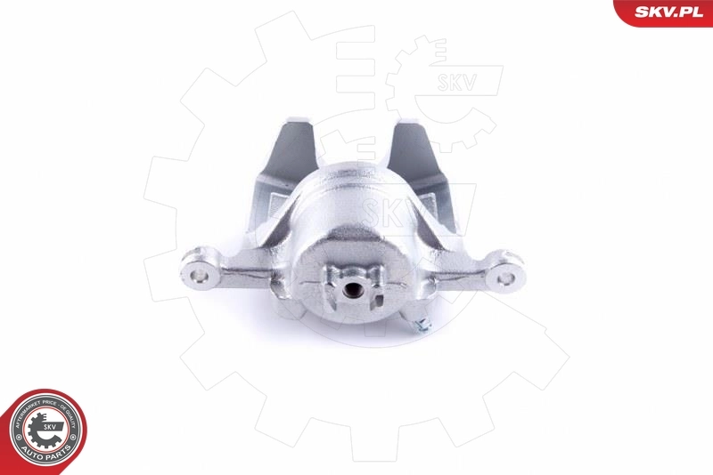 Brake Caliper 46SKV901
