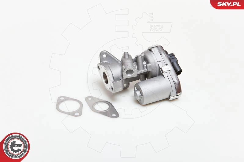 Injap AGR 14SKV038