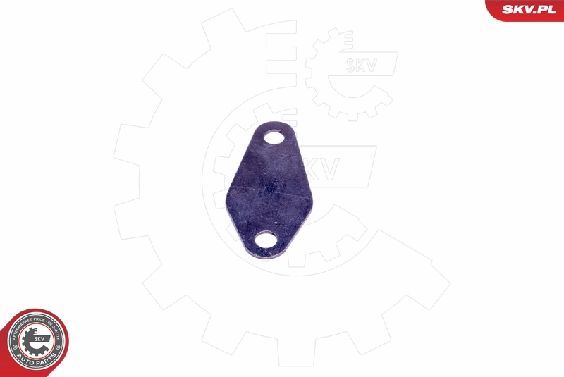 ESEN SKV 14SKV573 Repair Set, EGR valve
