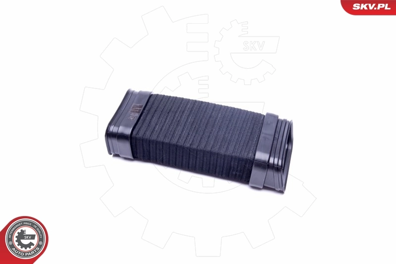 Intake Hose, air filter 43SKV924