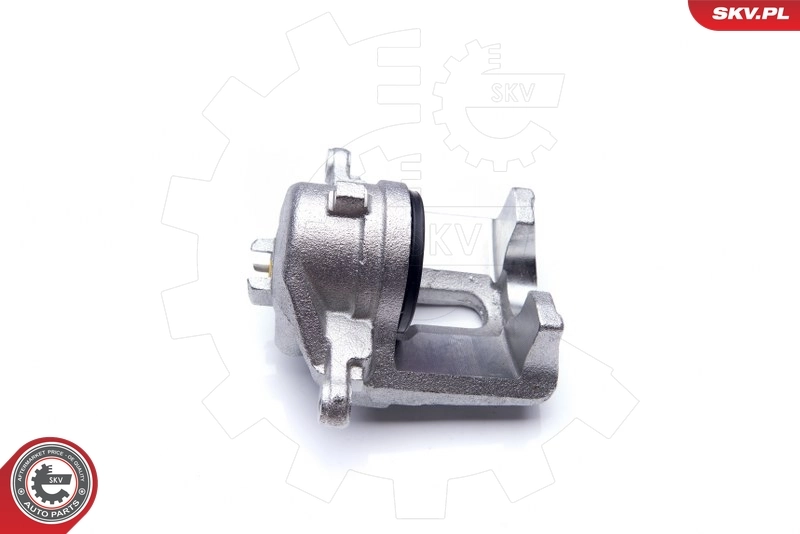 kaliper 34SKV842