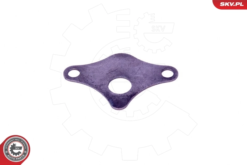 ESEN SKV 14SKV521 Repair Set, EGR valve