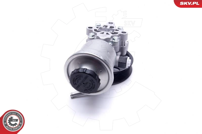 Hydraulic Pump, steering 10SKV311