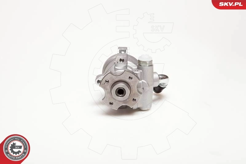 Hydraulic Pump, steering 10SKV096
