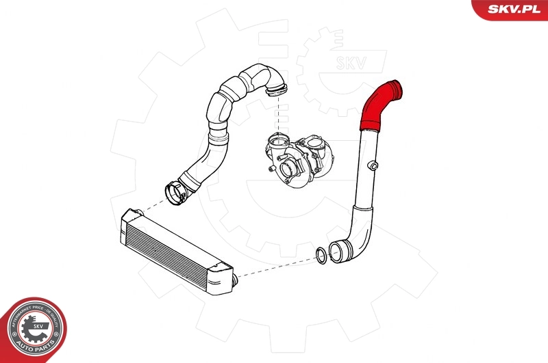 Charge Air Hose 43SKV043