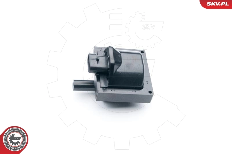 Ignition Coil 03SKV253
