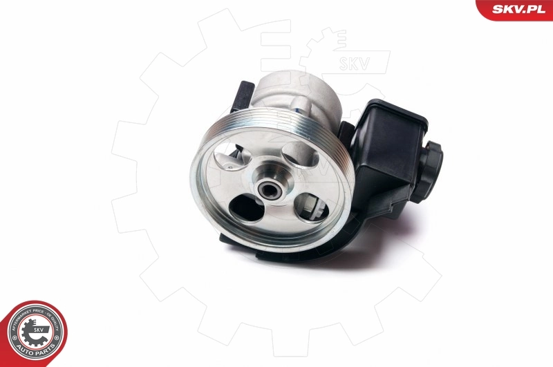 Hydraulic Pump, steering 10SKV231