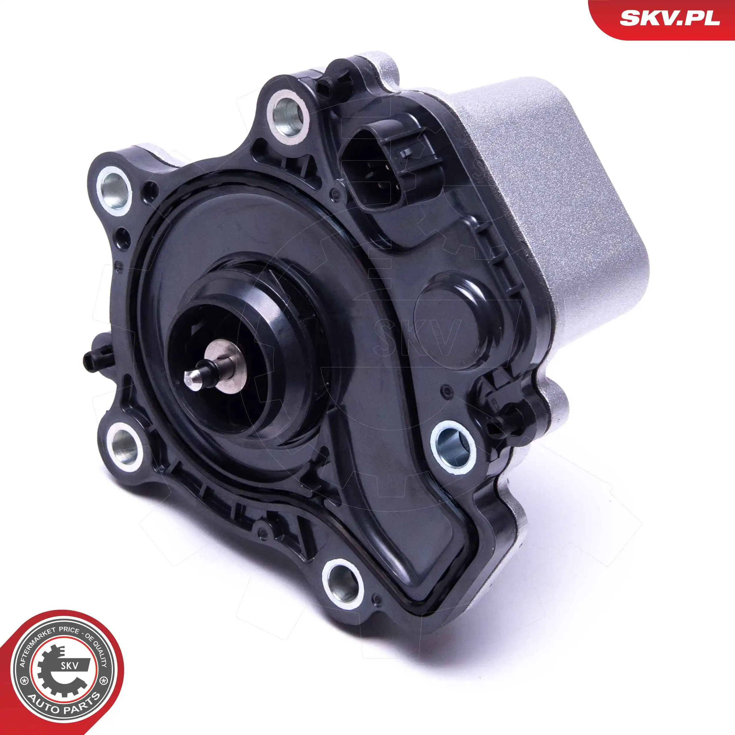 Water Pump, engine cooling 22SKV060