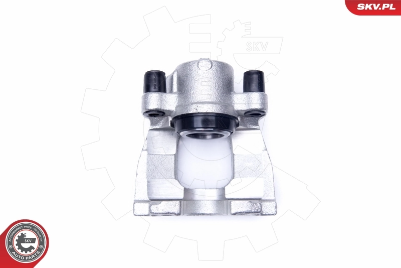 Brake Caliper 42SKV261
