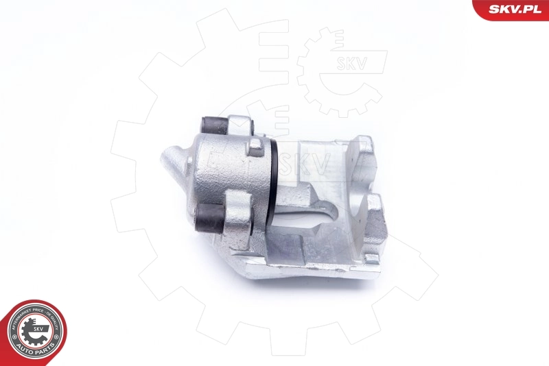 Brake Caliper 42SKV022