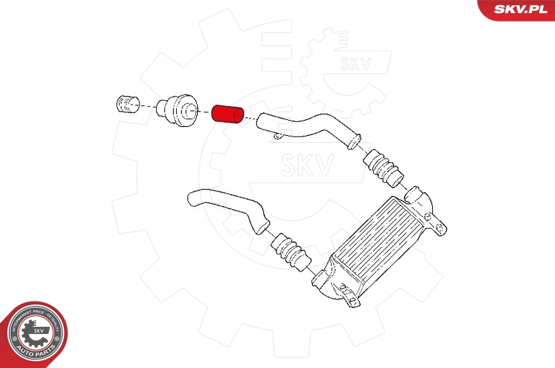 Charge Air Hose 24SKV974