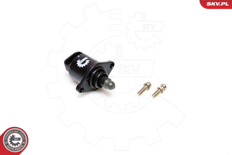 ESEN SKV 08SKV041 Idle Control Valve, air supply