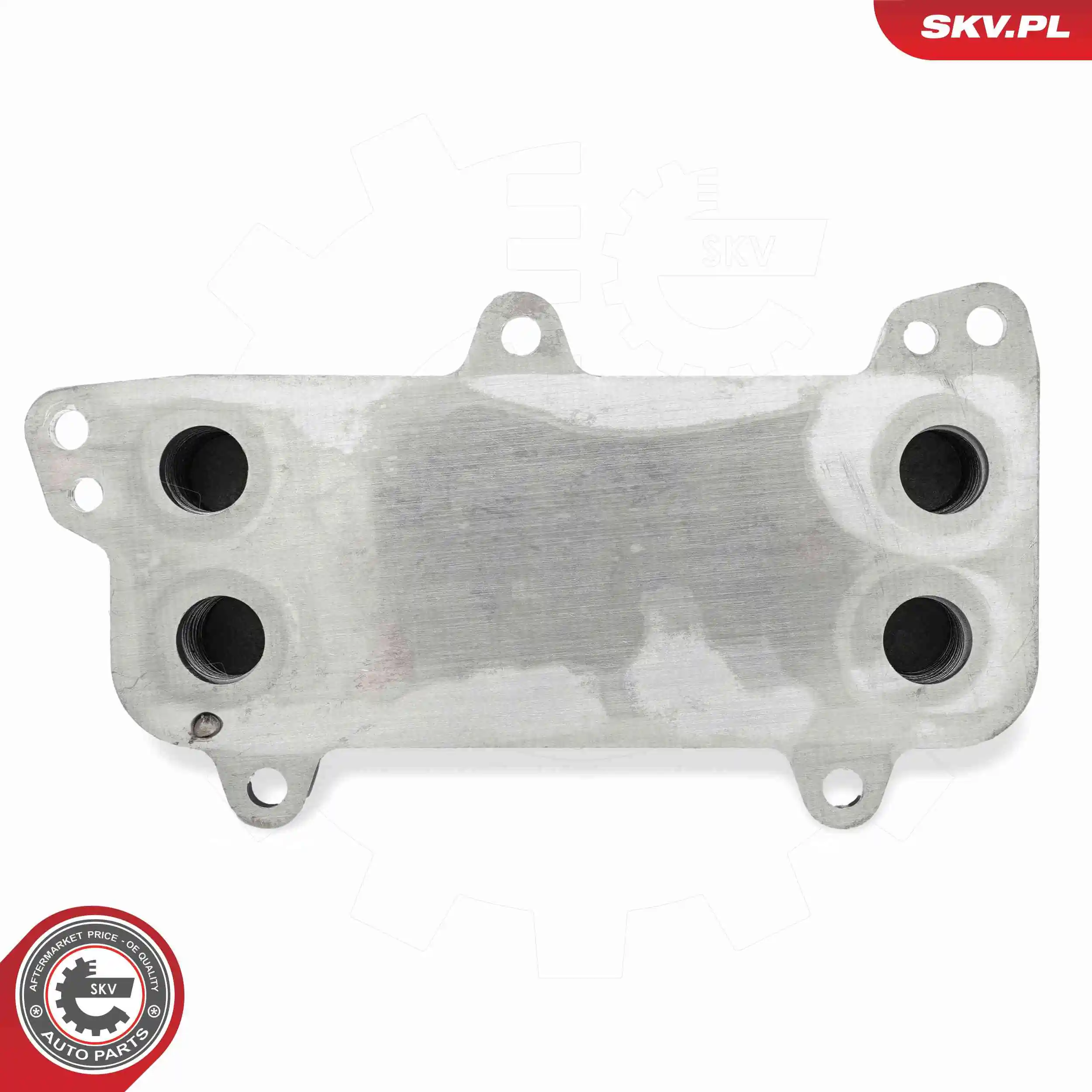 Oil Cooler, engine oil 31SKV272