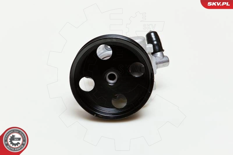 Hydraulic Pump, steering 10SKV039