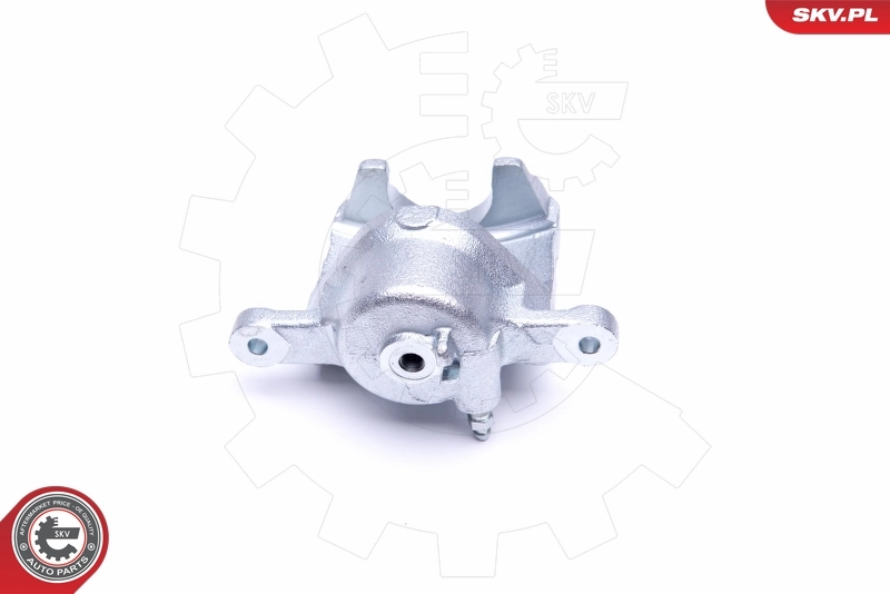 Brake Caliper 46SKV151
