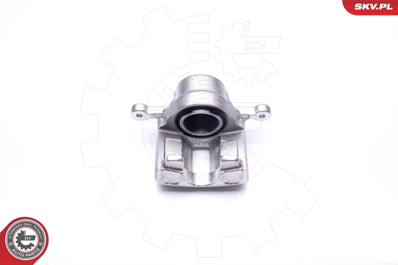 Brake Caliper 34SKV332